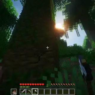 Trees - (Click to play video)
