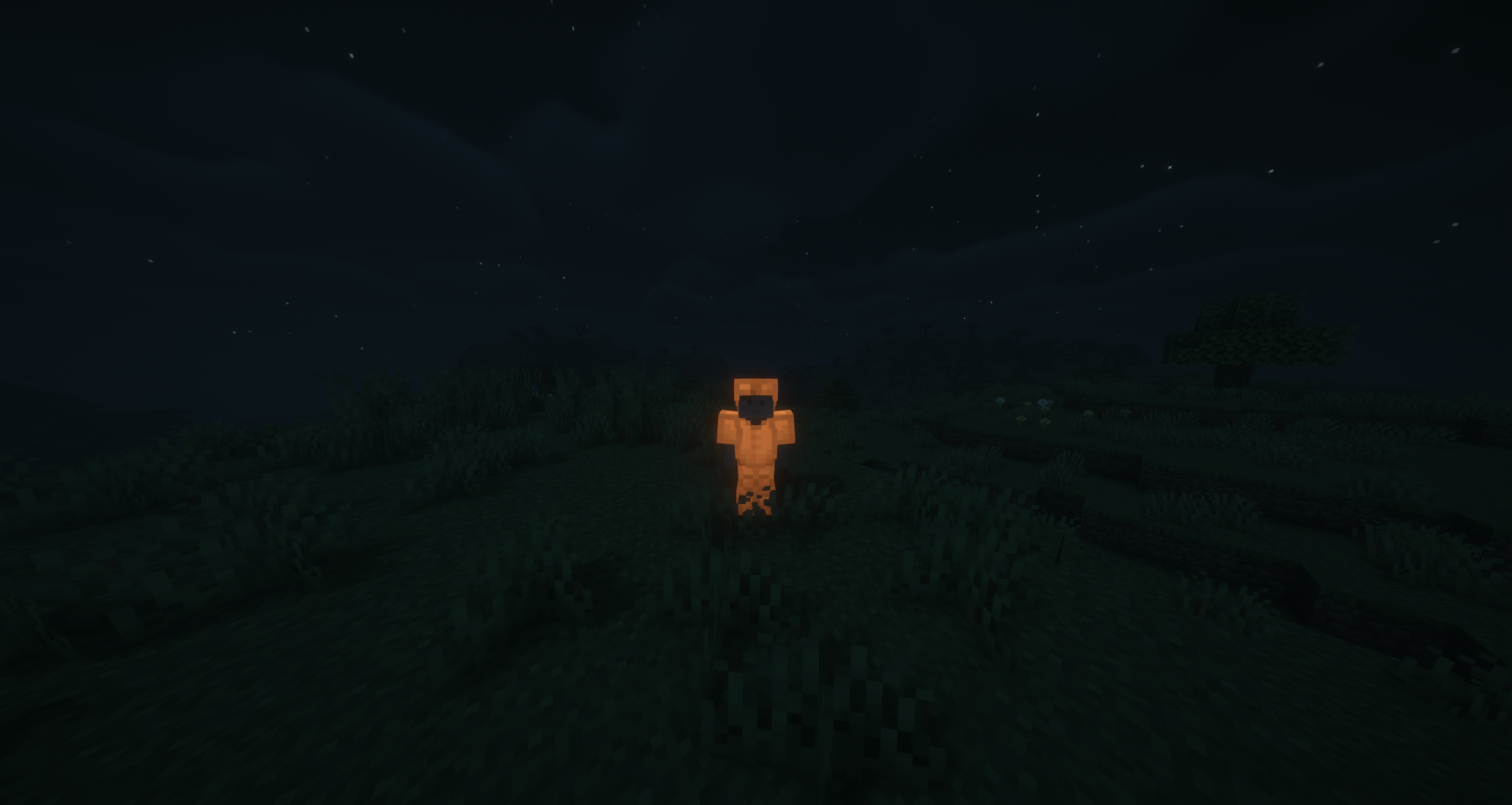 With shaders