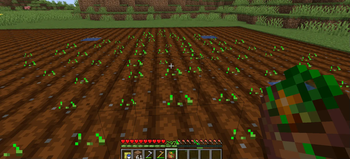 Seed Bag - Plant - Default Mode