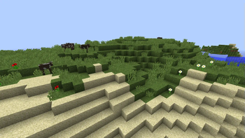 Hill