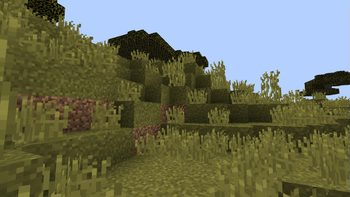 In Another biome