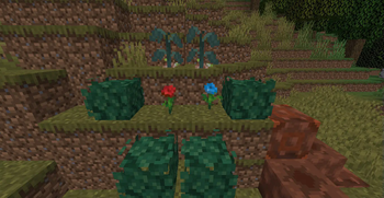 Ivy bud,shurb,rose and iris plants