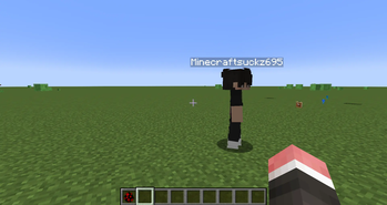 A Minecraft hater?