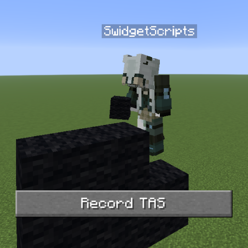 Swidget's TAS