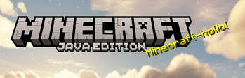 Minecraft-holic!
