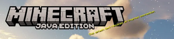 This splash text requires an internet connection.
