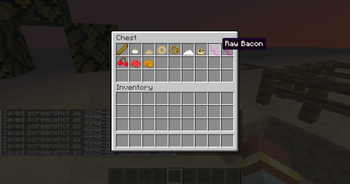 Raw Bacon