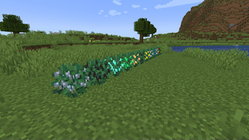12 custom berry