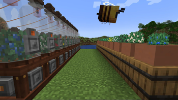 Garden Cloche (immersive) & Botany Pot