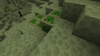 Infected EndStone