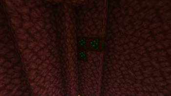 Infected Netherrack