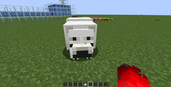 happy Ursos polar