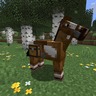 Horses With Chests