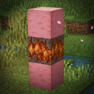 Biome Heart