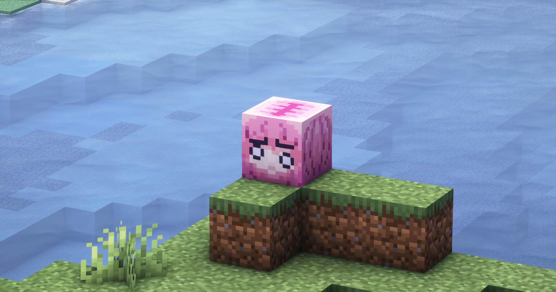 the rock in minecraft 