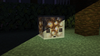 Sulfur cube