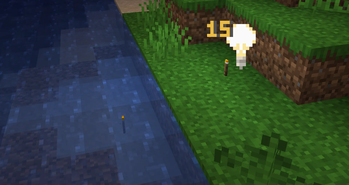 Torch