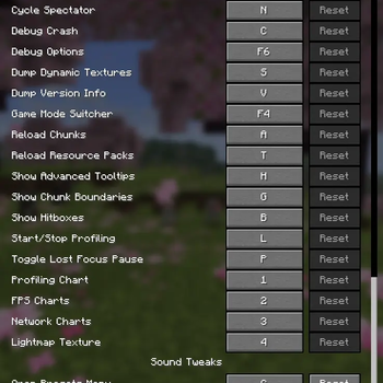 Keybind Configuration