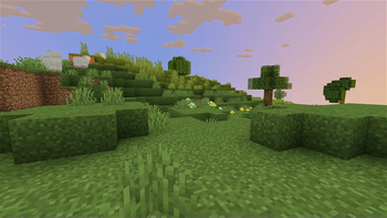Sunset Hill
