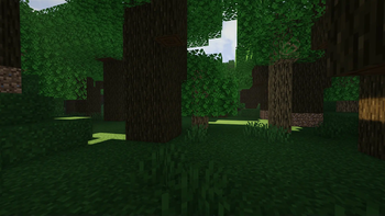 Forest (Realistic Style)