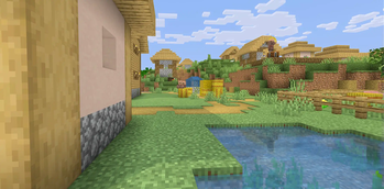 Village 3