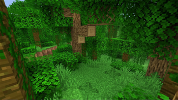 Jungle