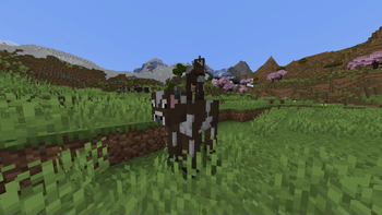 And cow jockeys