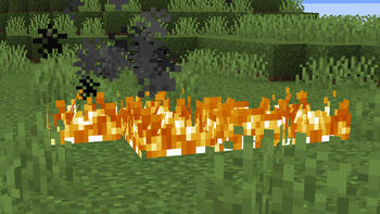 Low fire