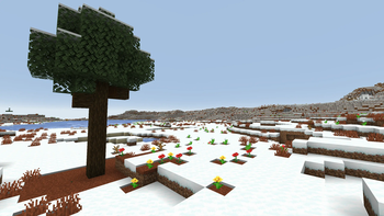 Snowy Plains