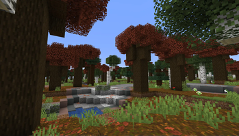Autumnal Forest