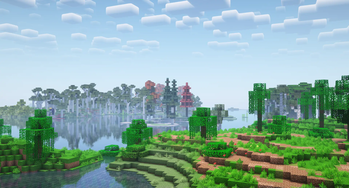 Jungle and Birch biomes