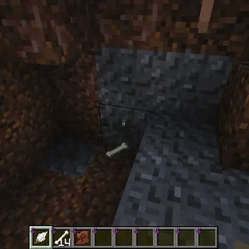 Wolf Den Structure Screenshot 3