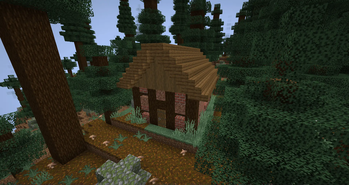 Spruce workshop