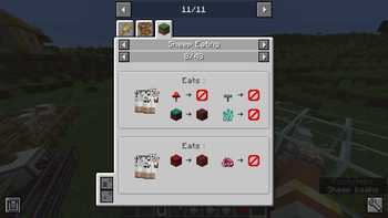 Sheep Eating Category