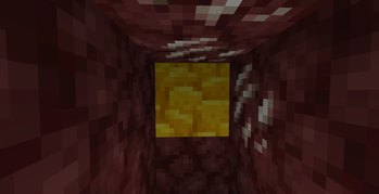 Nether