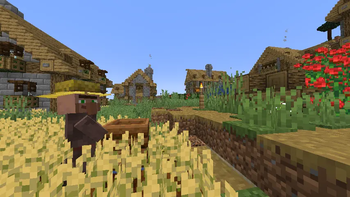 village