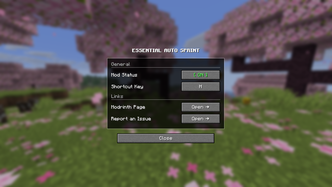 Essential Auto Sprint Interface