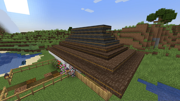 Дах з очерету (Thatched roof)