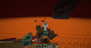 The nether