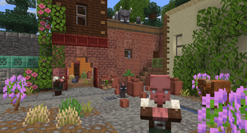 town