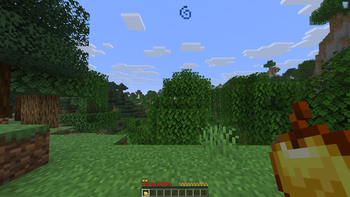 Equipped with AppleSkin!