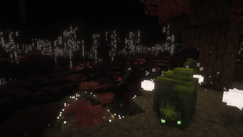 The Undergarden