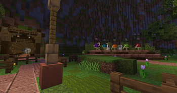 Crate Area