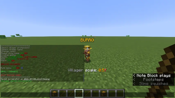 Changing a villagers scale through the menu