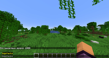 Bigstacks Screenshot 4