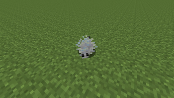 My silverfish