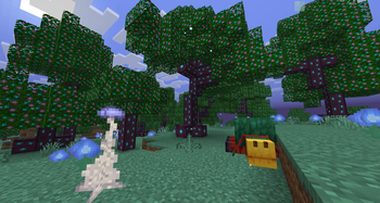 Wispbloom Hollow