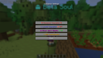 Companion Setting (In game)