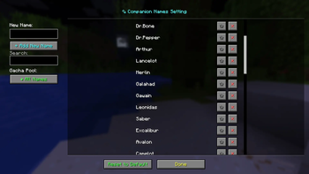 Companinon Name Setting