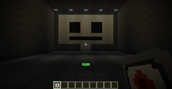 RUN